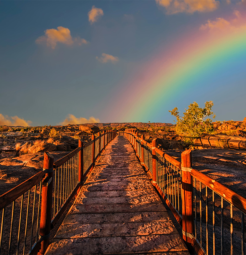 ProPath Beginners Path Rainbow